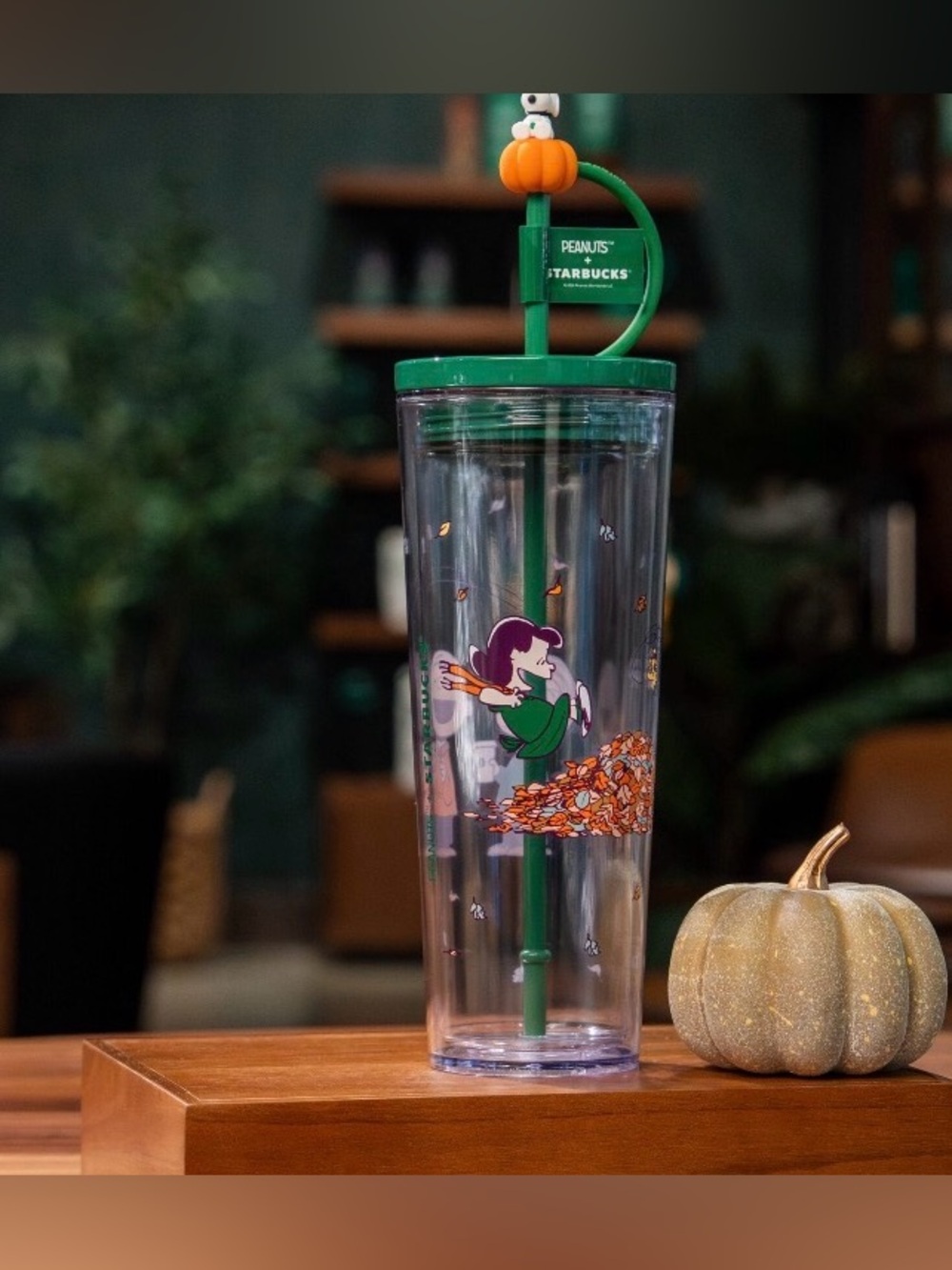 Snoopy starbuck cup new